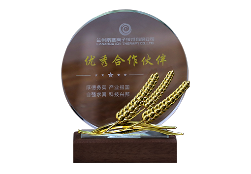 Outstanding partner in the high-end medical field